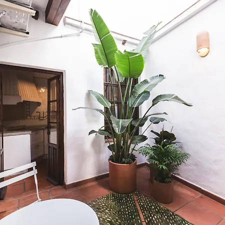 Casa Arroyo De San Andrés Córdoba