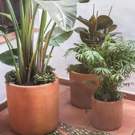 Casa Arroyo De San Andres Дом отдыха