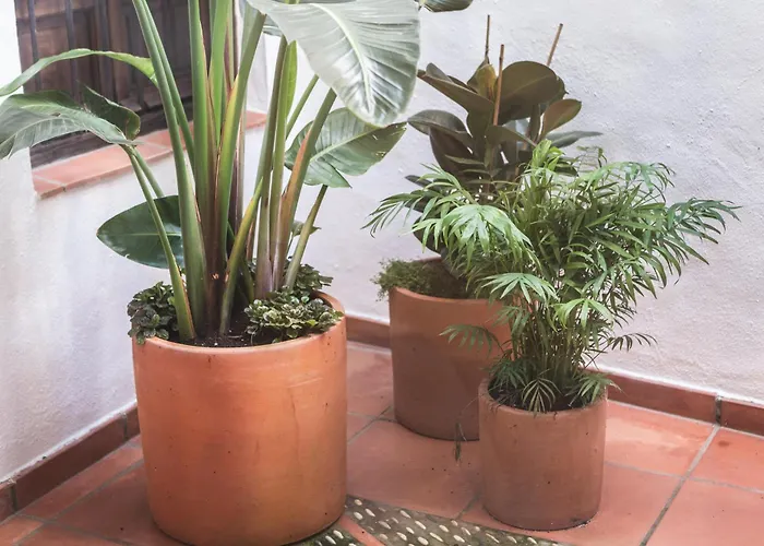 Casa Arroyo De San Andrés Casa vacanze